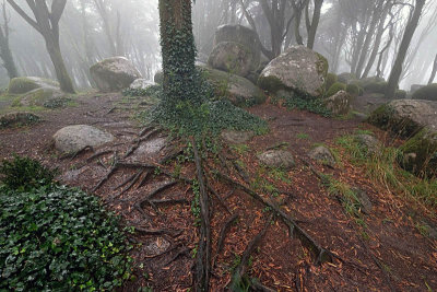 Sintra's Mountain