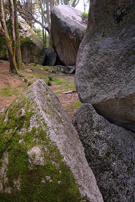 Sintra's Mountain