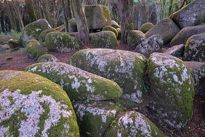 Sintra's Mountain