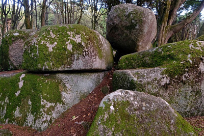 Sintra's Mountain