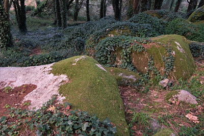 Sintra's Mountain