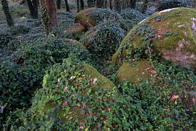 Sintra's Mountain