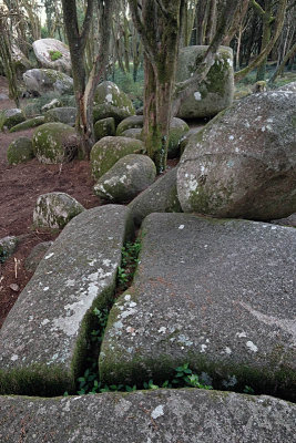 Sintra's Mountain