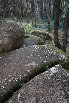 Sintra's Mountain