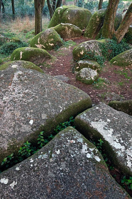 Sintra's Mountain