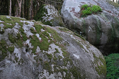 Sintra's Mountain