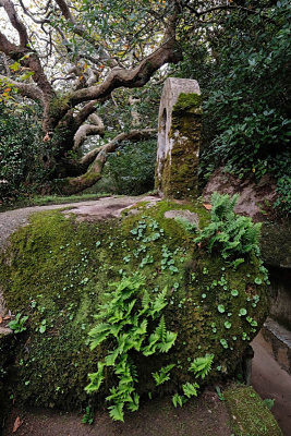 Sintra, Capuchos Convent