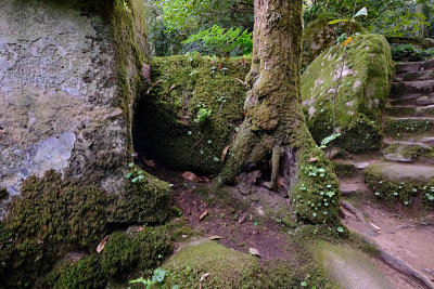 Sintra, Capuchos Convent