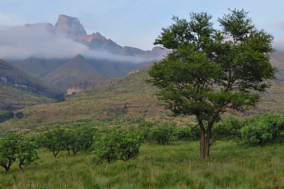 Drakensberg Mountains, view from Thendele Upper Camp