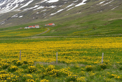 Road 1 to Akureyri