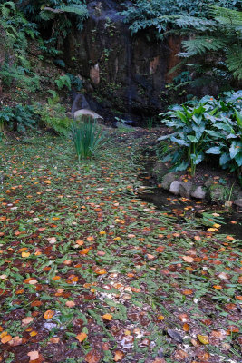 Monserrate Palace Garden