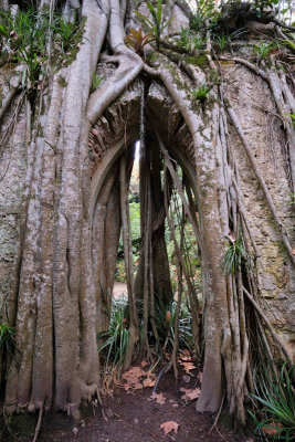 Monserrate Palace Garden Chapel