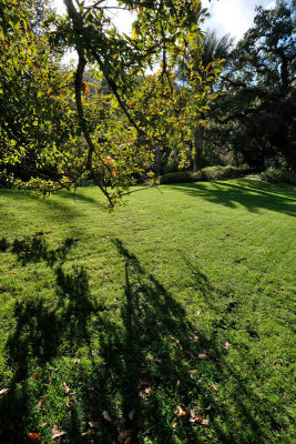 Monserrate Palace Garden