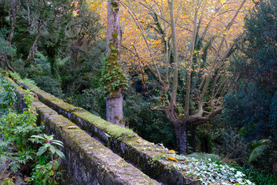 Monserrate Palace Garden