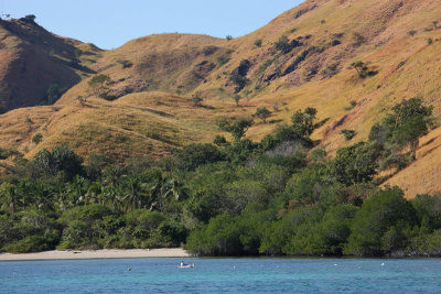 Rinca Island, Indonesia