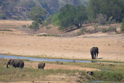 Kruger Park