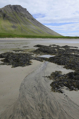 Beach near Brjánslaekur