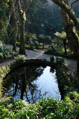 Pena Palace garden