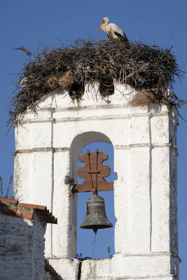 Estrela Village, Portugal