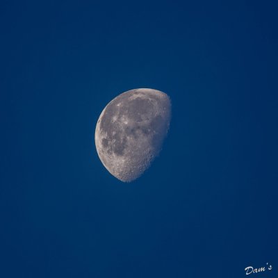 IMG_8858.jpg
