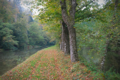 Canal du Vosges, Haut saone