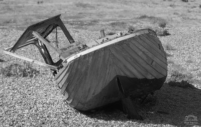 _SUE0328b&w.jpg