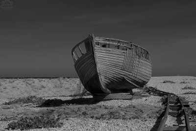 _SUE0417b&w.jpg