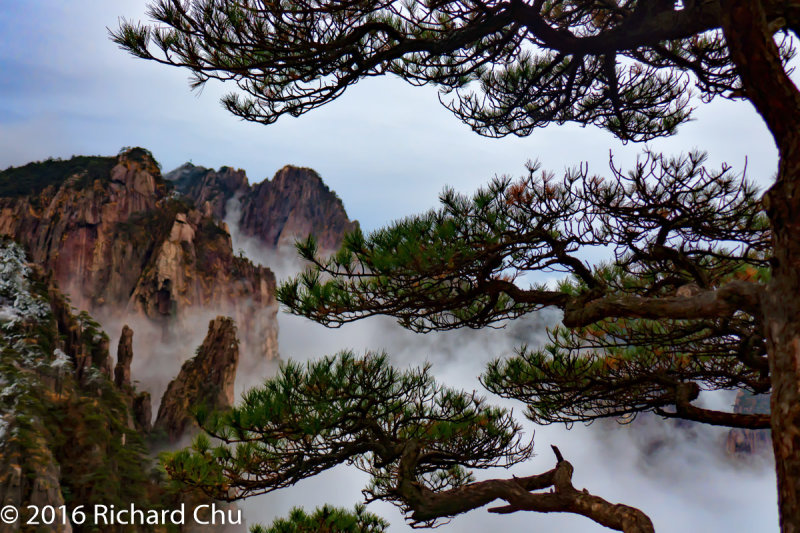 Huangshan 6