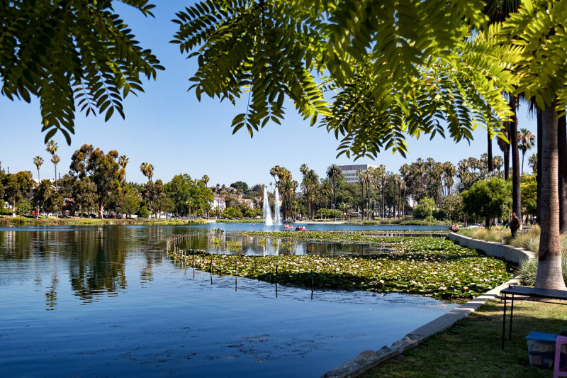 Echo Park Lake 8