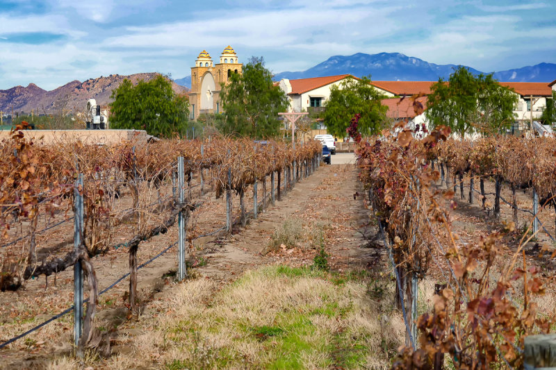 Temecula Winery 1