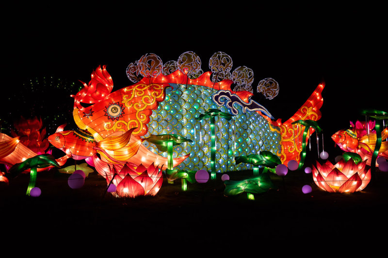 Fish Of Abundance