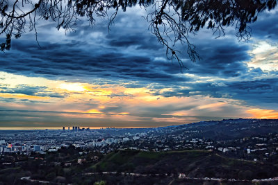 Los Angeles Cityscape