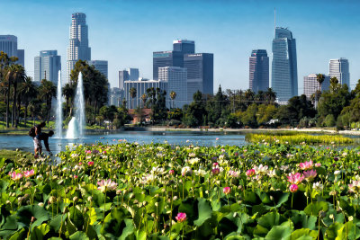 Echo Park Lake 1