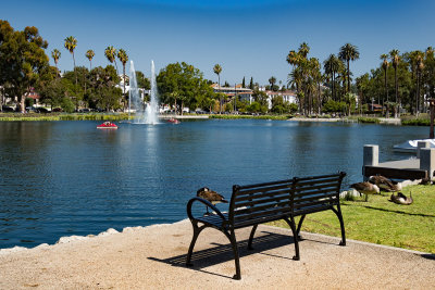 Echo Park Lake 6