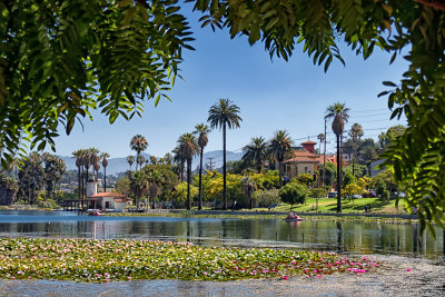 Echo Park Lake 9