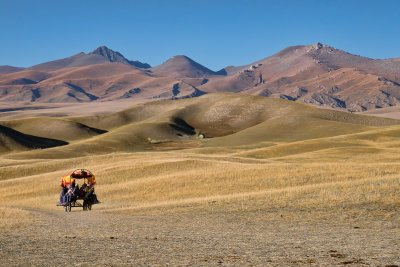 Bayanbulak Grassland 1