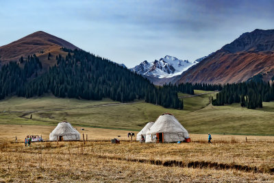 Nalati Grassland 1 