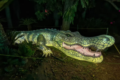 Crocodile