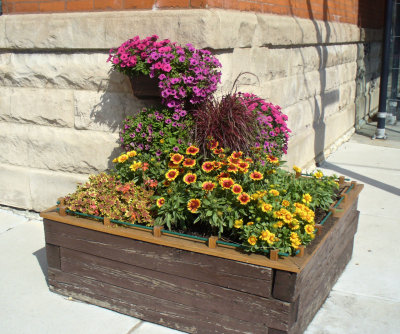 Flowering Plants for the planter box
