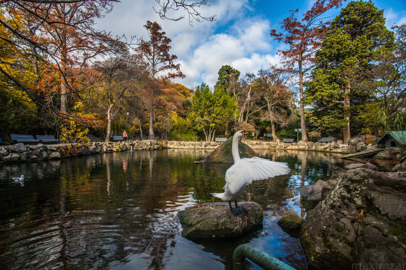  Vorontsovs Palace Park