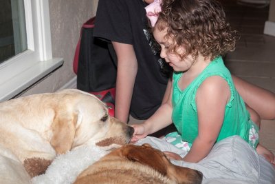 Kids and dogs 10.jpg