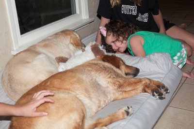 Kids and dogs 9.jpg