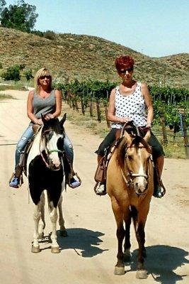 Horse 7.jpg