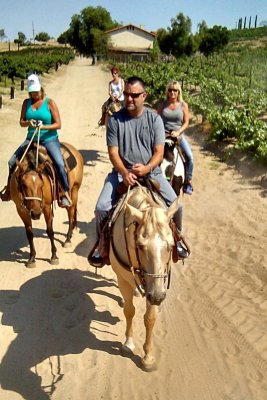 Horse 8.jpg