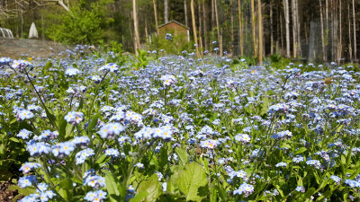20170509_152642.jpg