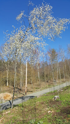 20170423_095511_001.jpg