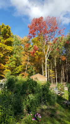 20161019_154009.jpg