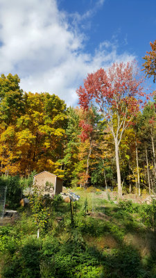20161019_154301.jpg