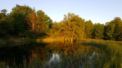 20170529_200902.jpg
