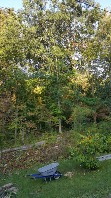 20170920_080225.jpg